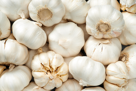 Garlic: A Potent Ally for Gut Health and Microbial Balance