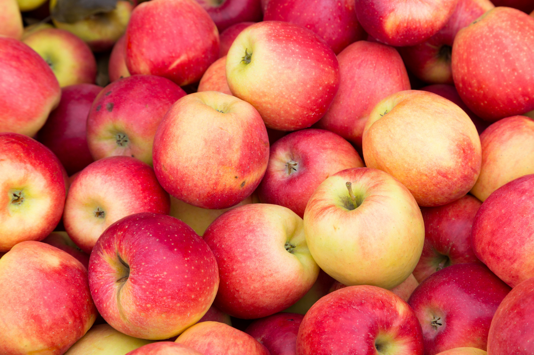 The 10-Day Apple Feast Challenge: A Journey to Refresh Your Body