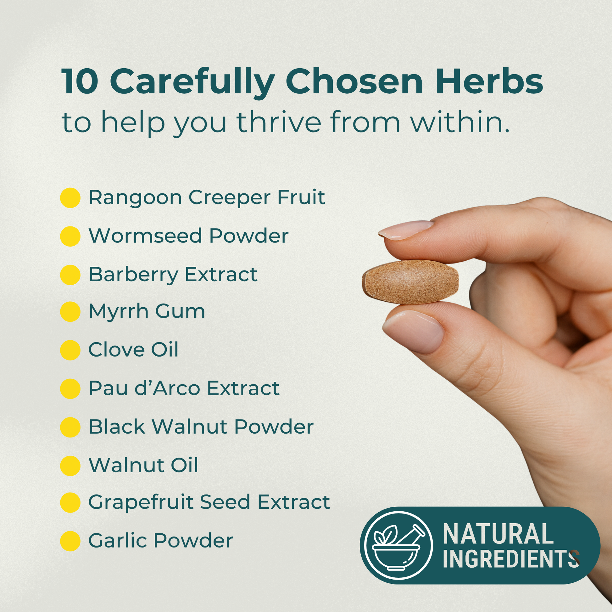 ParaProteX - Gut Health Supplement - All Natural Intestinal Detox - 100 Vegan Tablets